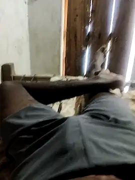 PolarFriend0 online show from February 20, 7:54 am