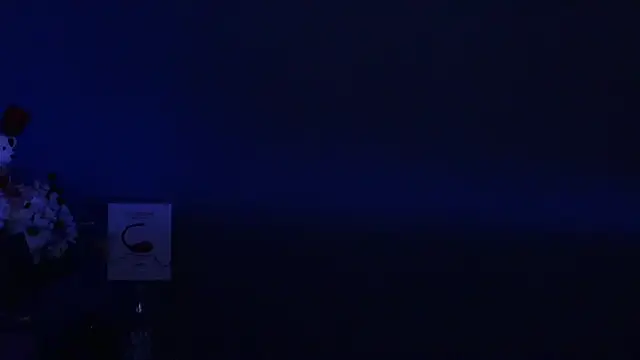 Amesthyst destiny online show from March 22, 3:20 am