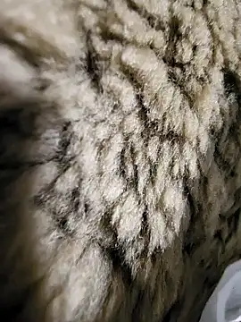 Snapshot of ikeike-kun chatting on December 2, 1:33 am ikeike-kun online show from December 2, 1:33 am