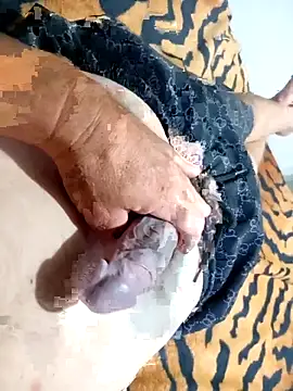 Dglo0000 online show from November 30, 8:51 am