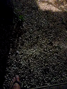 Dglo0000 online show from January 10, 6:59 am