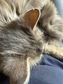 Max 965 online show from March 30, 10:27 am