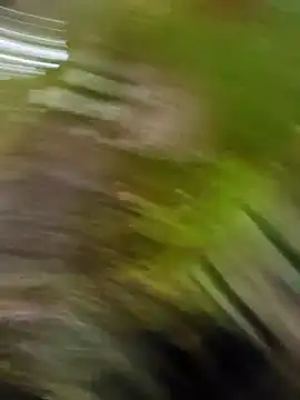 Pichoneterno online show from March 8, 12:09 pm