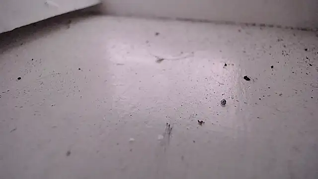 Valensx oficiall online show from April 29, 7:31 pm