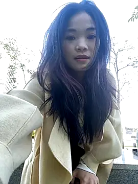 AiBanana online show from November 29, 8:28 am