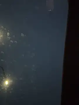 Eriksson00 online show from December 19, 7:48 am