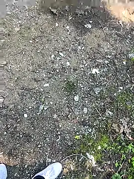 Snapshot of cihan_4141 chatting on October 20, 8:59 am cihan 4141 online show from October 20, 8:59 am