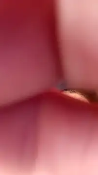 Fox Roxxan online show from September 22, 6:32 pm