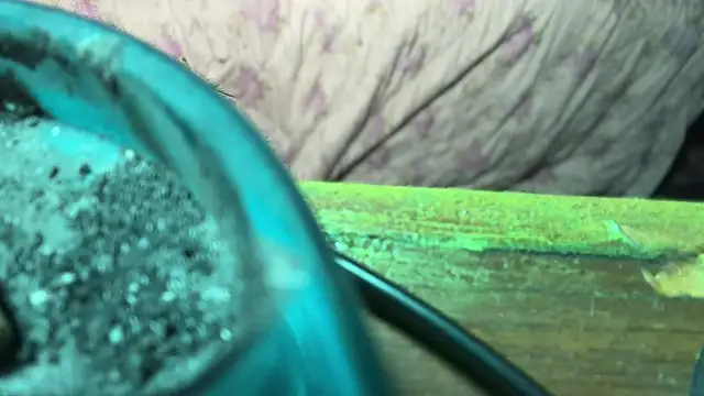 HodgeVibes online show from April 21, 11:49 am