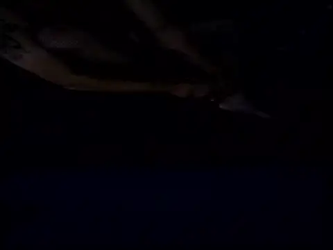 Crossedsissy online show from December 15, 5:34 am