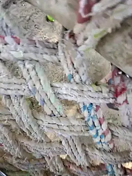 Naveen9100Unity online show from April 12, 10:31 am