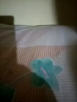 Snapshot of Nishi-2 chatting on September 25, 1:48 pm Nishi-2 online show from September 25, 1:48 pm