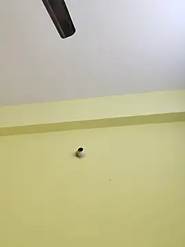 radhika2 online show from November 17, 8:03 pm