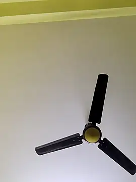 radhika2 online show from December 4, 6:16 pm