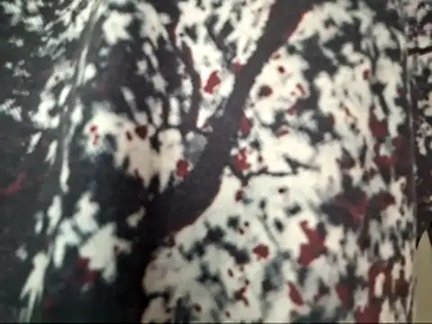 dabeibe online show from January 16, 8:57 pm