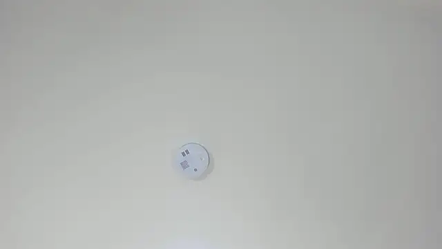 Snapshot of pamemiller1 chatting on October 23, 2:33 am pamemiller1 online show from October 23, 2:33 am