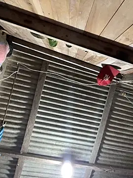 CataleyaJonnes online show from September 11, 10:10 pm