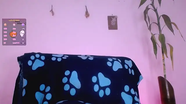 Nocturnawitch online show from October 3, 2:47 pm