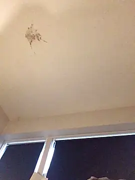 Sissy Cindy Whore online show from November 9, 2:04 pm