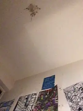 Sissy Cindy Whore online show from February 12, 12:05 am