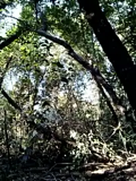 KalendaXL online show from April 4, 2:47 pm