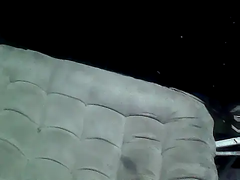 20cmloiro online show from January 12, 8:03 pm