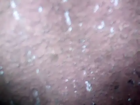 20cmloiro online show from February 27, 9:53 am