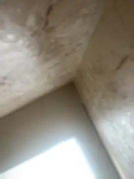 Noa Todokoro online show from October 16, 3:02 pm