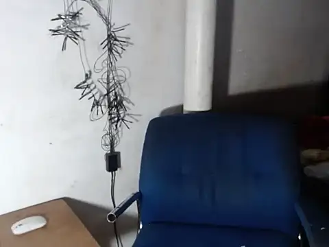 BebaFoxx online show from November 30, 7:01 am