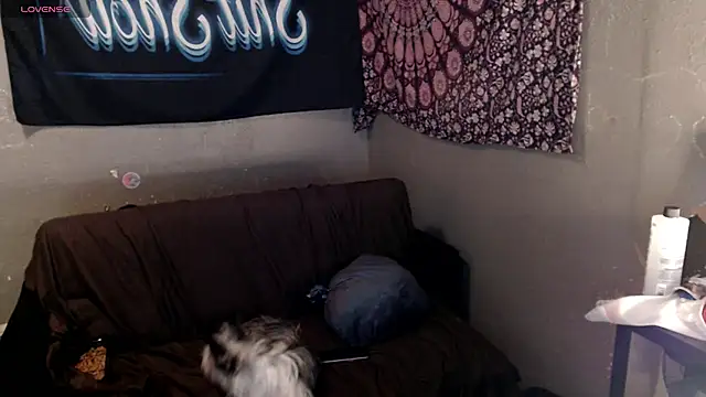 London Ray online show from April 15, 9:15 pm