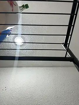 Nia Desire online show from December 17, 5:24 am