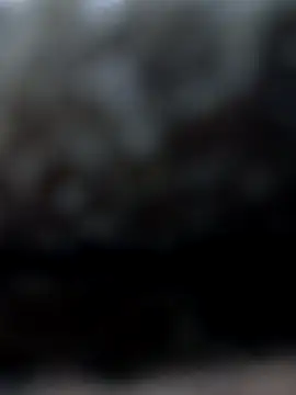 Snapshot of rociomilf chatting on December 1, 3:11 am rociomilf online show from December 1, 3:11 am