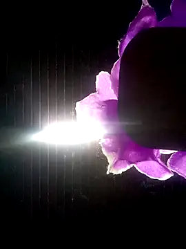 Snapshot of Ridick2025 chatting on October 8, 11:13 pm Ridick2025 online show from October 8, 11:13 pm