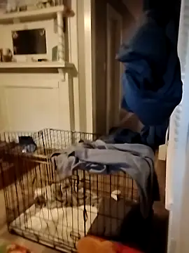 hugenicecock7979 online show from October 2, 11:34 pm