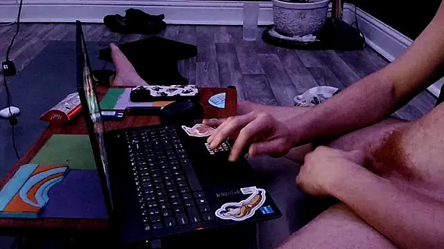 Snapshot of jinjasnack chatting on February 13, 11:17 am jinjasnack online show from February 13, 11:17 am