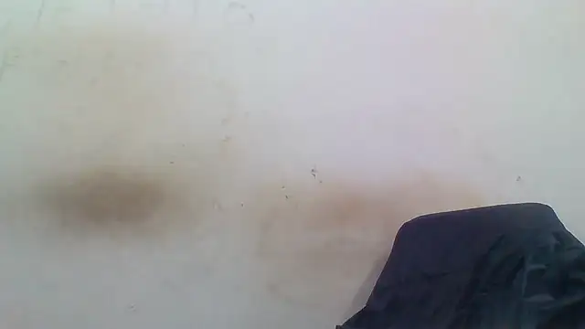 Snapshot of sasatimido chatting on December 3, 1:31 pm sasatimido online show from December 3, 1:31 pm