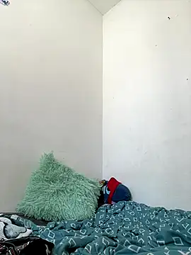 Snapshot of methme chatting on December 1, 4:45 pm methme online show from December 1, 4:45 pm