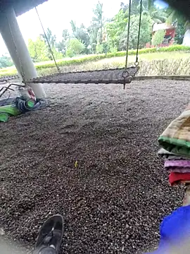 Snapshot of Desi_Horny_Boys chatting on September 15, 6:13 am Desi Horny Boys online show from September 15, 6:13 am