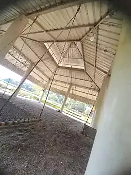 Snapshot of Desi_Horny_Boys chatting on October 21, 8:26 am Desi Horny Boys online show from October 21, 8:26 am