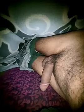 Desi Horny Boys online show from November 16, 4:12 pm