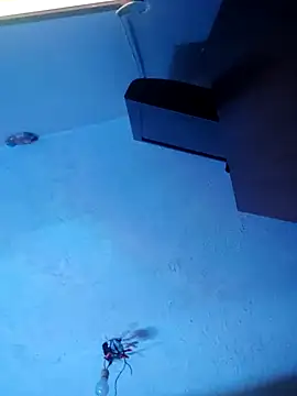 Snapshot of melisa_hot420 chatting on November 8, 8:25 am melisa hot420 online show from November 8, 8:25 am