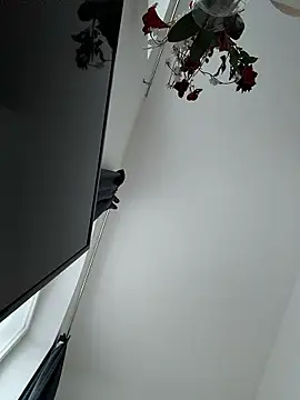 SexyLeon8 online show from January 14, 3:06 pm