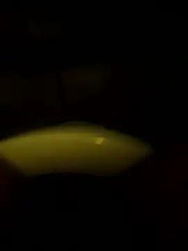 Snapshot of Cock4LadiesONLY chatting on October 11, 2:48 pm Cock4LadiesONLY online show from October 11, 2:48 pm