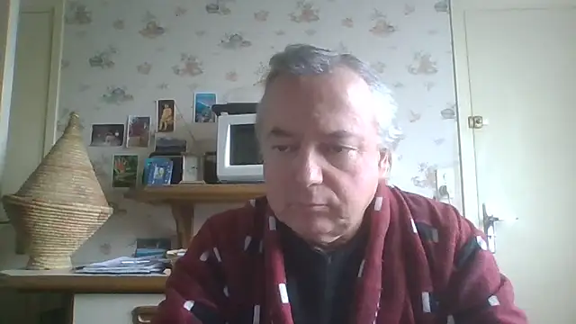 gegevincent online show from April 1, 11:22 am