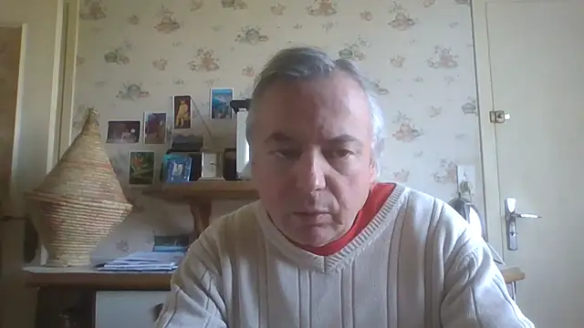 gegevincent online show from April 5, 11:18 am