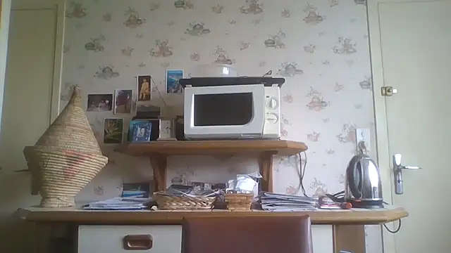 gegevincent online show from May 2, 11:37 am