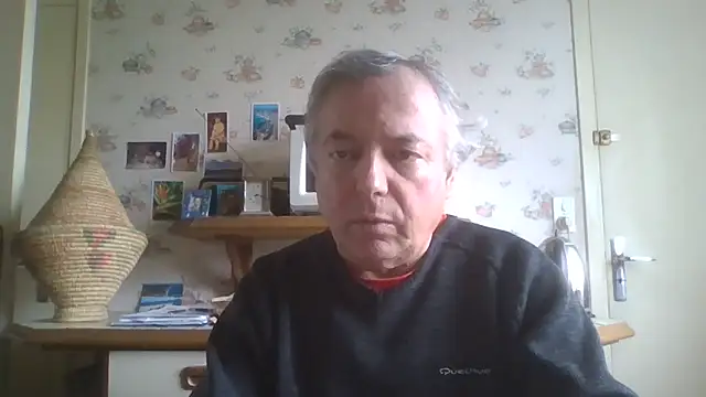 gegevincent online show from May 12, 11:18 am