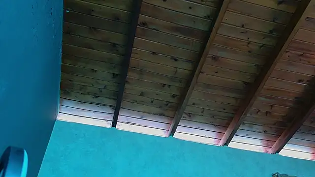 Taurito    online show from November 14, 4:38 pm