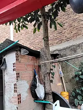 You-sexy-starr online show from October 9, 4:38 pm