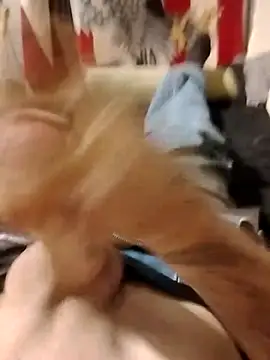 helldonk online show from April 25, 2:47 pm